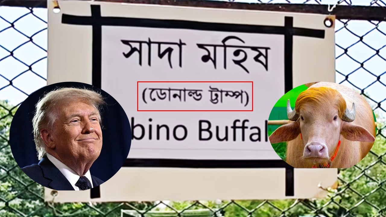 ভাইরাল ‘ডোনাল্ড ট্রাম্প’-এর ‘ট্রাম্প’ বানান ভুল করল চিড়িয়াখানা কর্তৃপক্ষ 15571_image_295151_1779978790 Large.jpeg